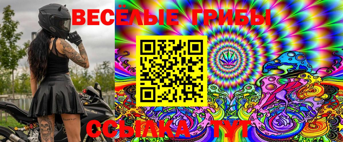 Галлюциногенные грибы Cubensis Тамбов