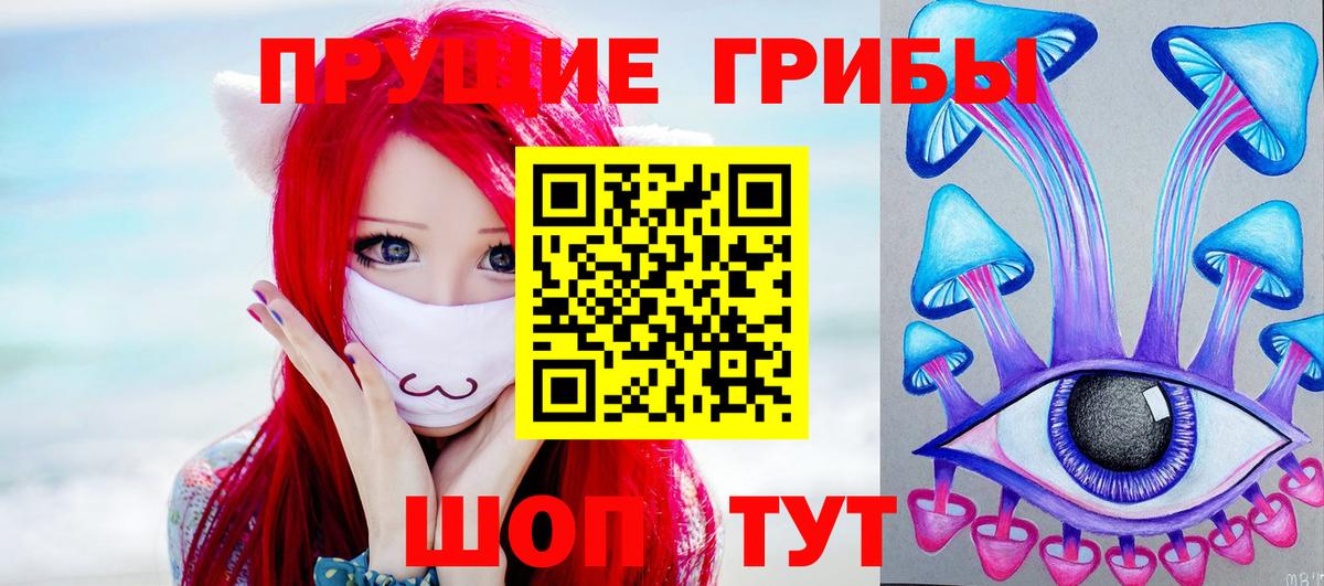 где найти   Псилоцибиновые грибы мицелий  Вход с VPN  Тамбов 